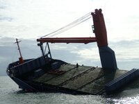 To remove or not to remove? Dealing with pollution risks from ship wrecks (2017) 